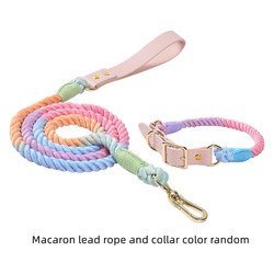 Leash 150cm+M Collar